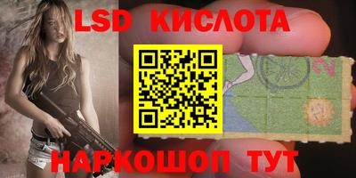 крисы Ливны