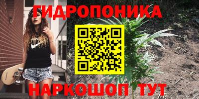 таблы Лесосибирск