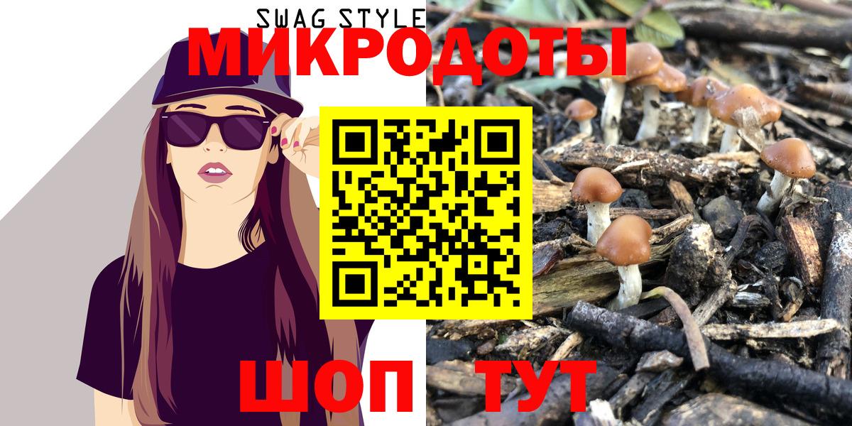 Галлюциногенные грибы Cubensis Владимир