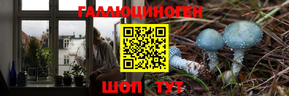 Владимир  Псилоцибиновые грибы Cubensis  Вход с VPN 